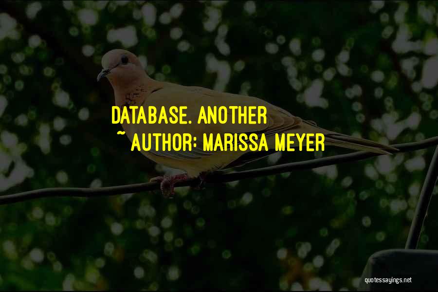 Database Quotes By Marissa Meyer