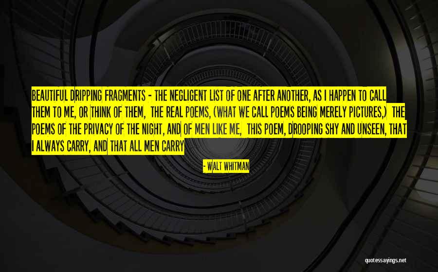 Datainspektionen Quotes By Walt Whitman Datainspektionen Quotes By Walt Whitman