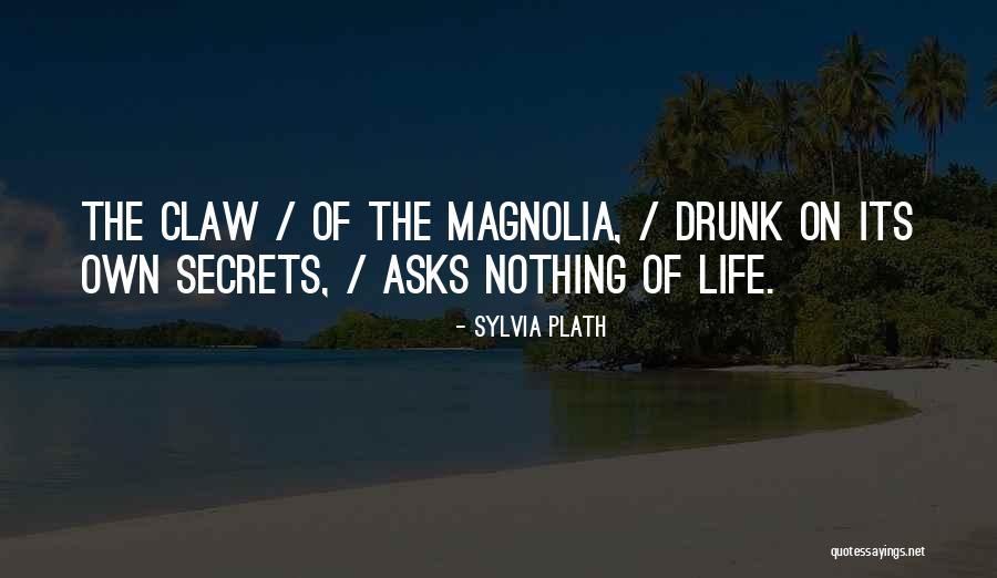 Datang Reader Quotes By Sylvia Plath