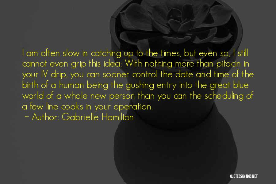 Date And Time Quotes By Gabrielle Hamilton