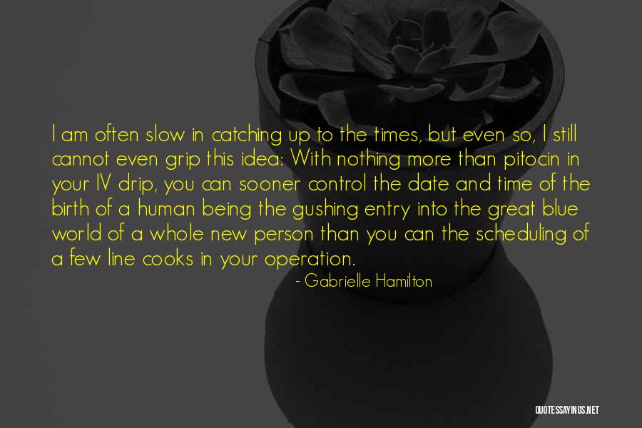 Date And Time Quotes By Gabrielle Hamilton