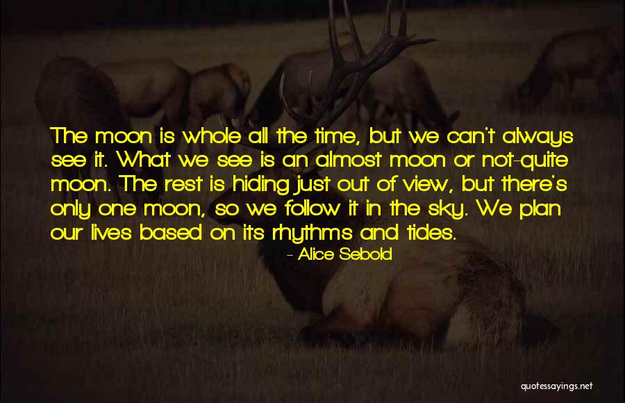 Datoo Aquarium Quotes By Alice Sebold Datoo Aquarium Quotes By Alice Sebold