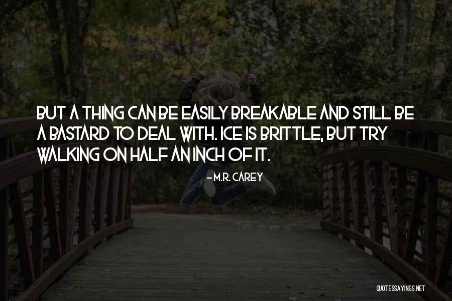 Datta Meghe Quotes By M.R. Carey Datta Meghe Quotes By M.R. Carey