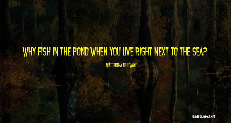 Dattoli Sarasota Quotes By Matshona Dhliwayo Dattoli Sarasota Quotes By Matshona Dhliwayo