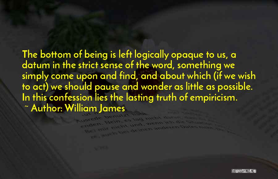 Datum Quotes By William James