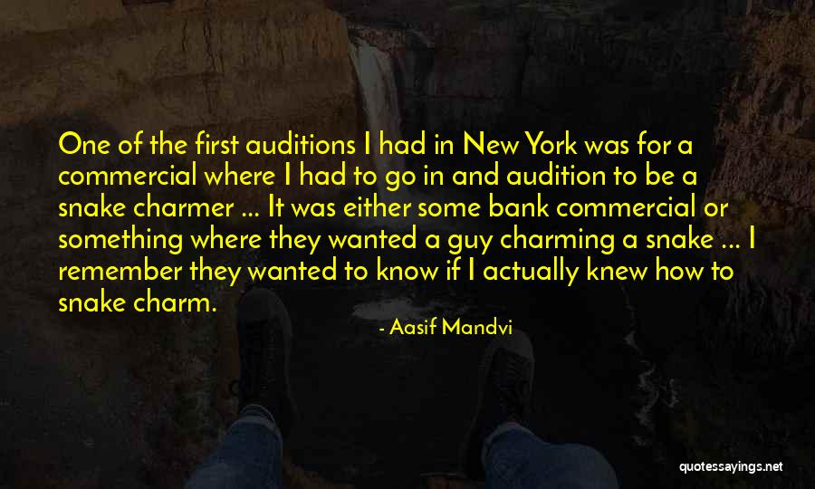 Dauber Art Quotes By Aasif Mandvi Dauber Art Quotes By Aasif Mandvi