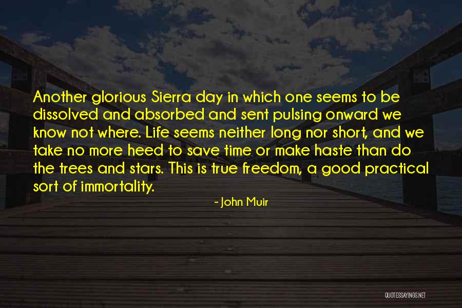 Dauerhafte Haarentfernung Quotes By John Muir Dauerhafte Haarentfernung Quotes By John Muir