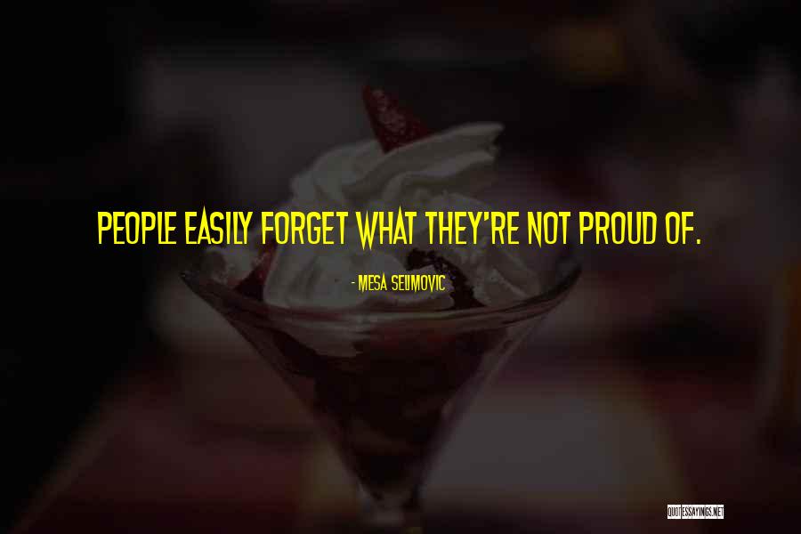 Dauern Perfekt Quotes By Mesa Selimovic Dauern Perfekt Quotes By Mesa Selimovic