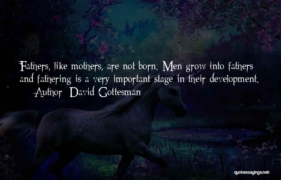Daughter Mother Day Quotes By David Gottesman