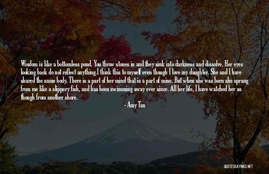 Daughter Mother Relationship Quotes By Amy Tan Daughter Mother Relationship Quotes By Amy Tan