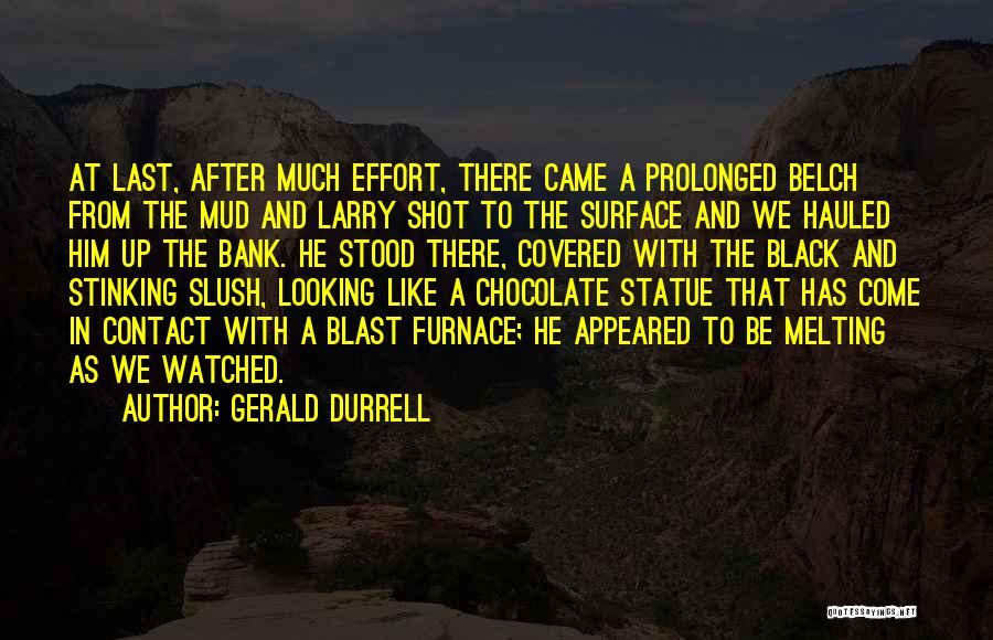 Daugustine Quotes By Gerald Durrell