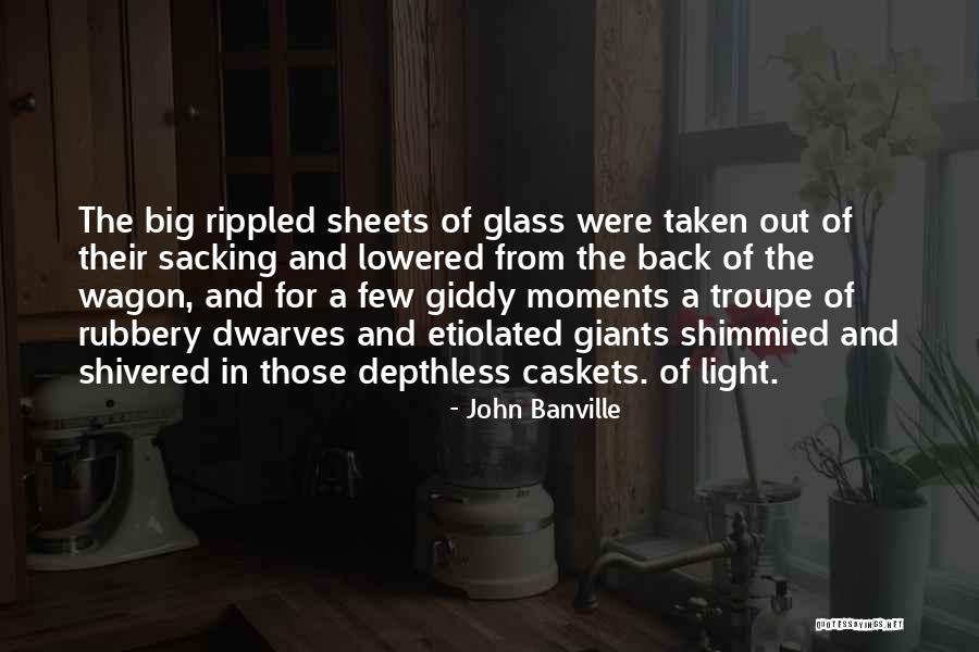 Dauphine Criterium Quotes By John Banville Dauphine Criterium Quotes By John Banville