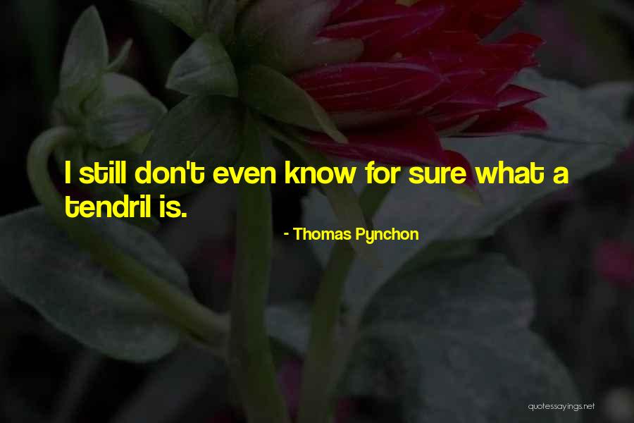 Dauphine Potatoes Quotes By Thomas Pynchon Dauphine Potatoes Quotes By Thomas Pynchon