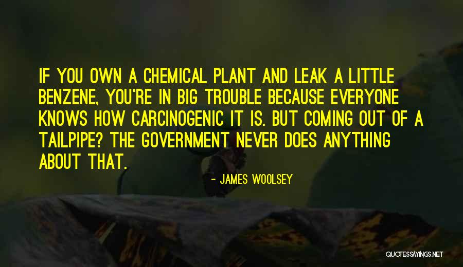 Davatinos Quotes By James Woolsey Davatinos Quotes By James Woolsey