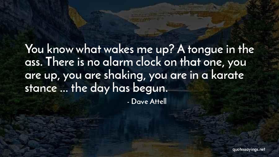 Dave Attell Quotes 315706