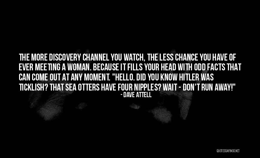 Dave Attell Quotes 477566