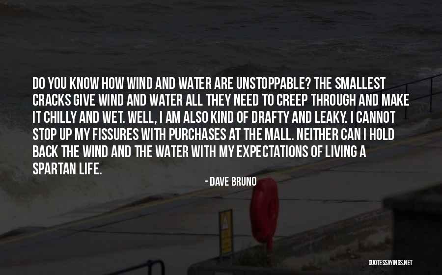 Dave Bruno Quotes 2078431