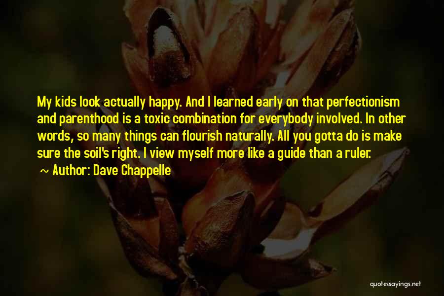 Dave Chappelle Quotes 422215