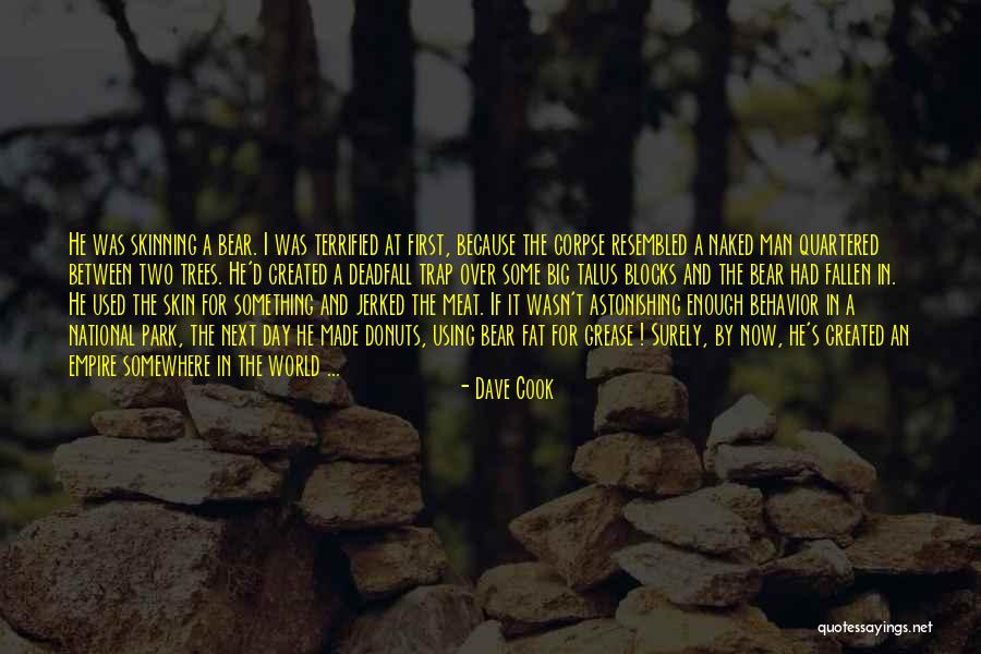 Dave Cook Quotes 1080210