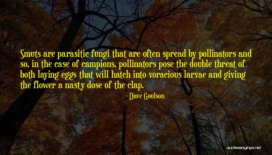 Dave Goulson Quotes 2053605 Dave Goulson Quotes 2053605