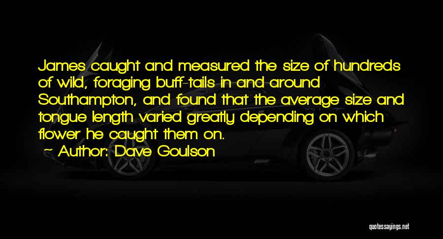 Dave Goulson Quotes 440917