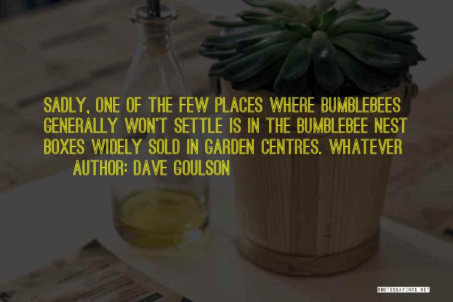 Dave Goulson Quotes 775741