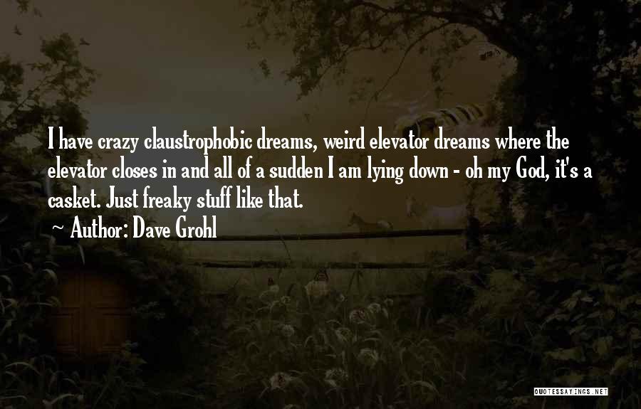 Dave Grohl Quotes 375504