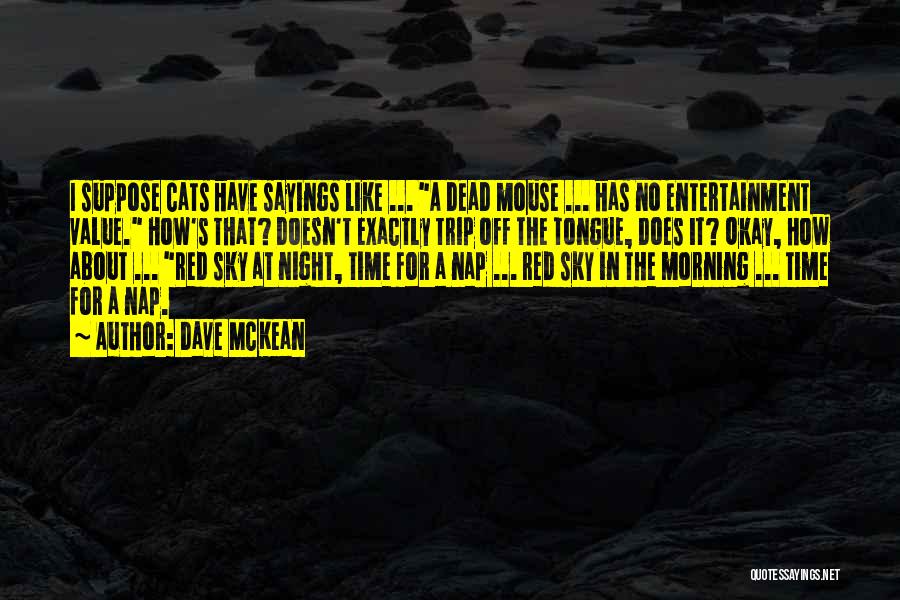 Dave McKean Quotes 976836