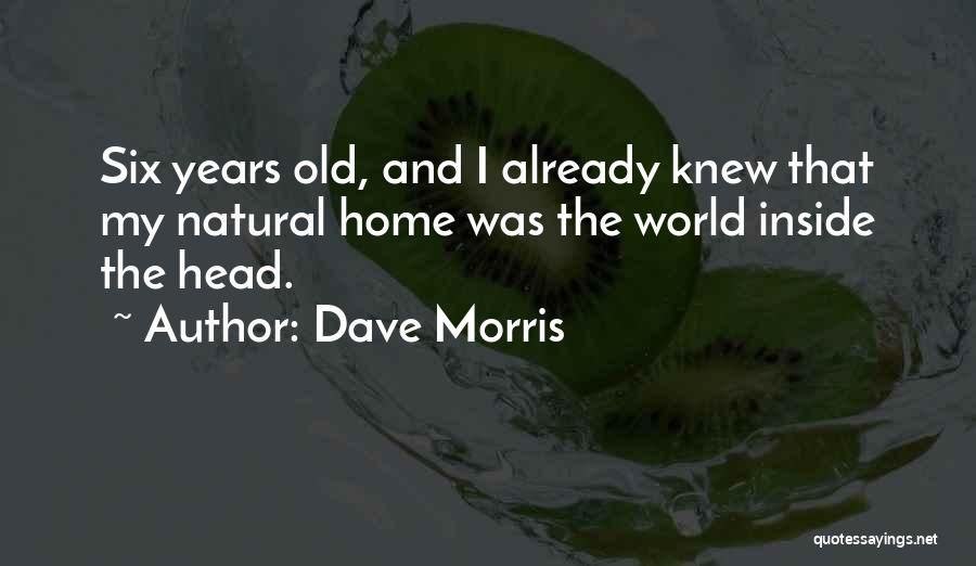 Dave Morris Quotes 1203454