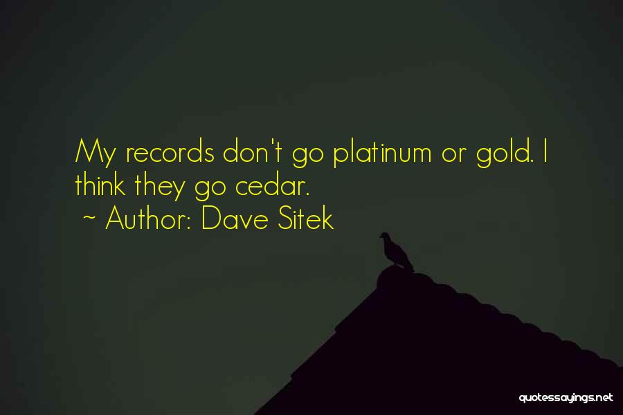 Dave Sitek Quotes 668978