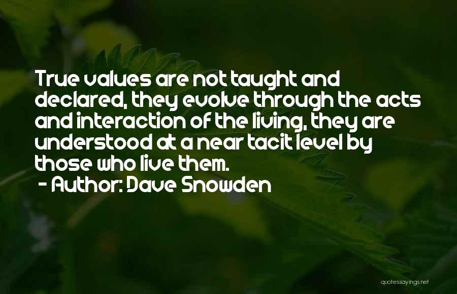Dave Snowden Quotes 1132644