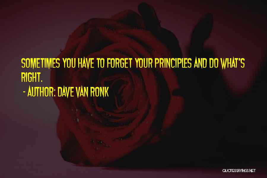 Dave Van Ronk Quotes 244082