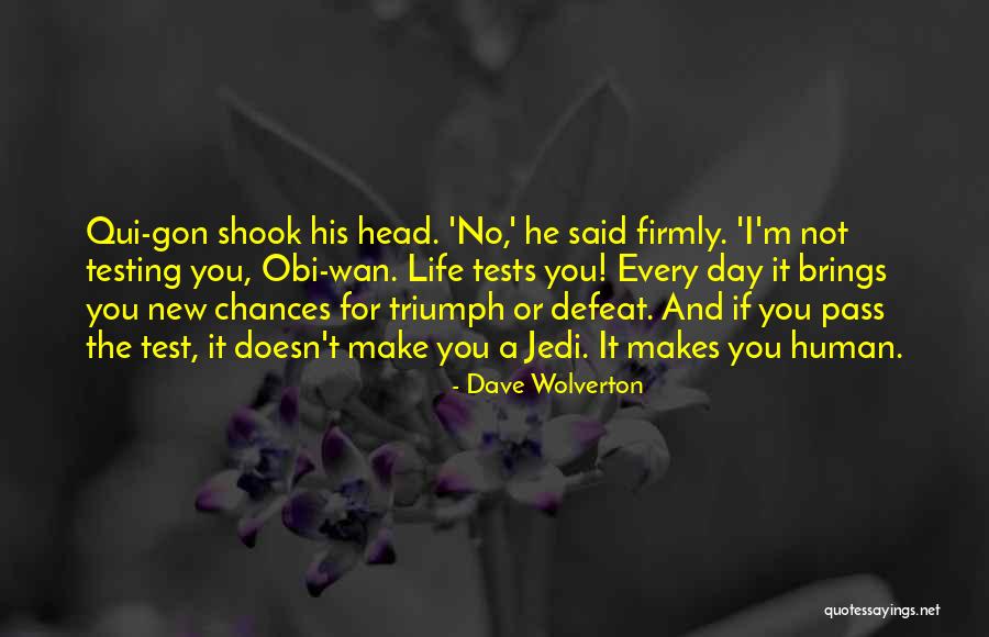 Dave Wolverton Quotes 1070011