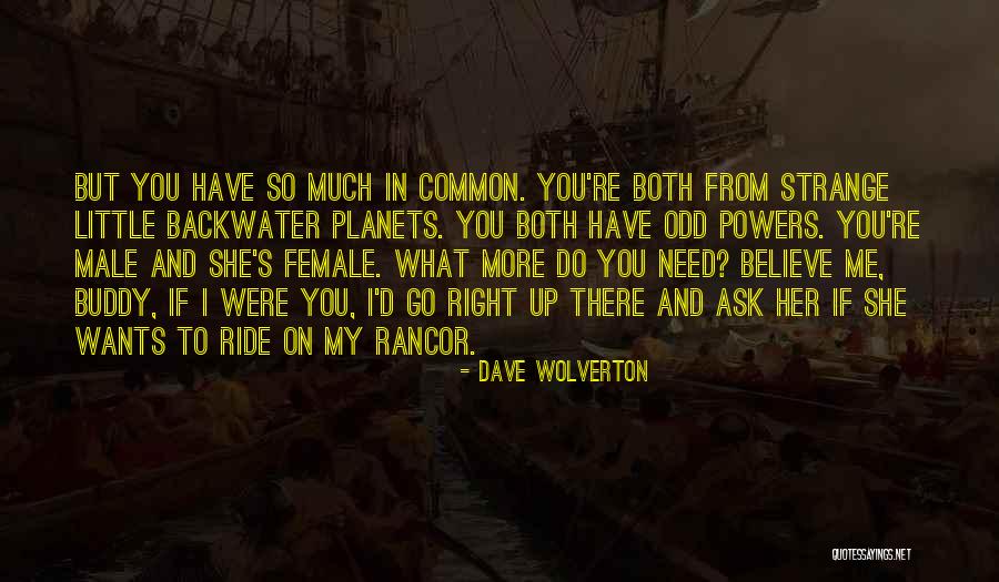 Dave Wolverton Quotes 566113