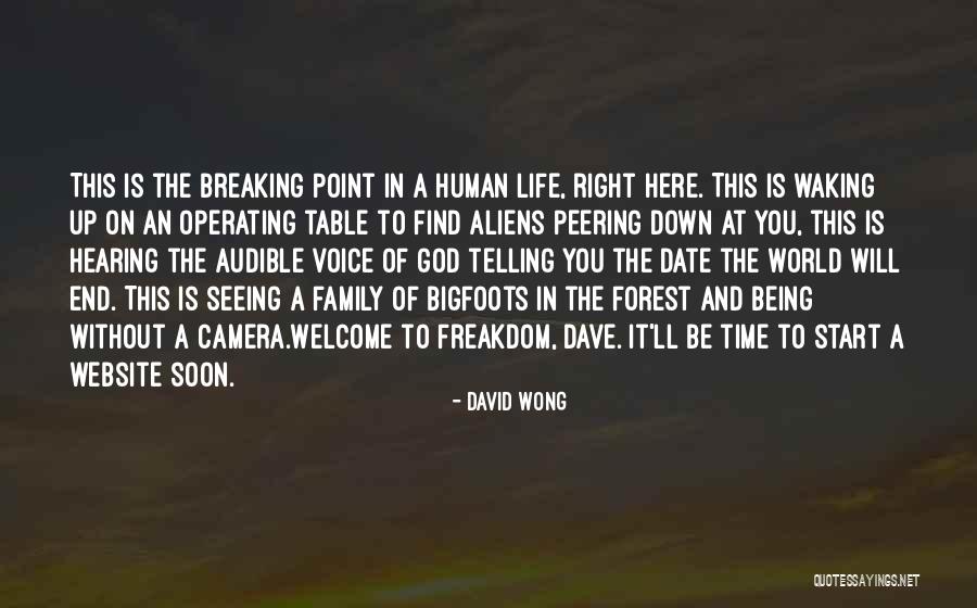 Dave Wong Quotes By David Wong