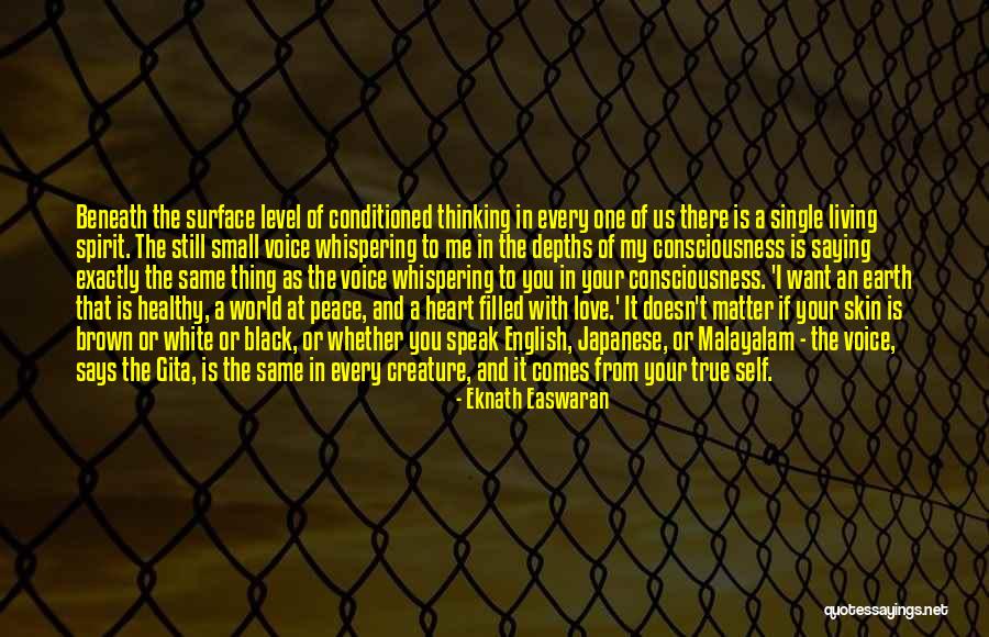 Davelaar Home Quotes By Eknath Easwaran Davelaar Home Quotes By Eknath Easwaran