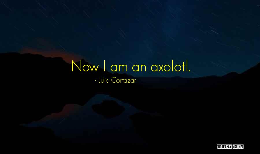 Daveney Oil Quotes By Julio Cortazar Daveney Oil Quotes By Julio Cortazar