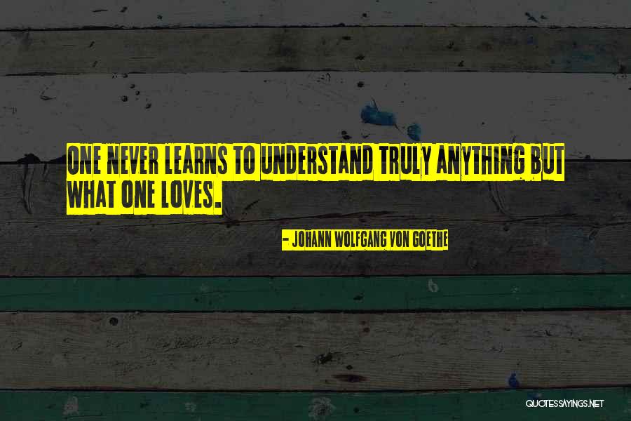 Davicos Quotes By Johann Wolfgang Von Goethe Davicos Quotes By Johann Wolfgang Von Goethe