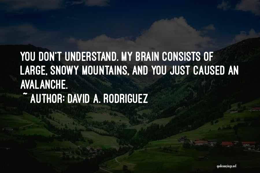 David A. Rodriguez Quotes 1112266