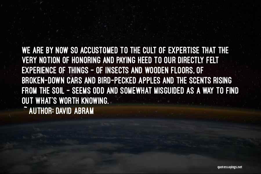David Abram Quotes 1662593