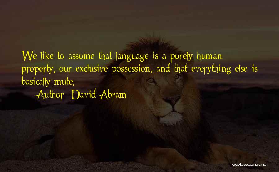 David Abram Quotes 1733540