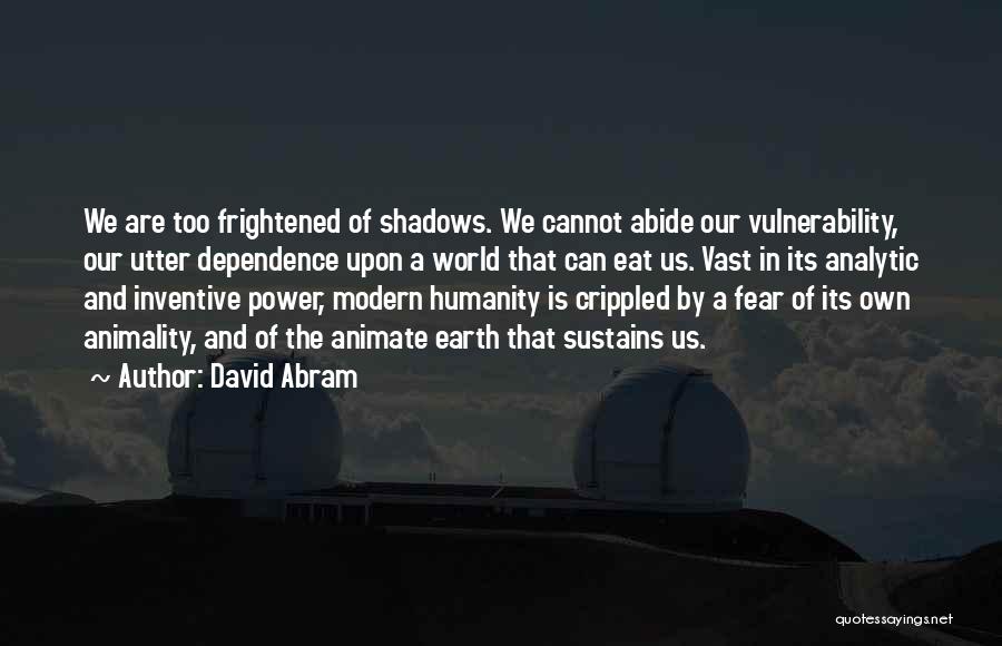 David Abram Quotes 456137