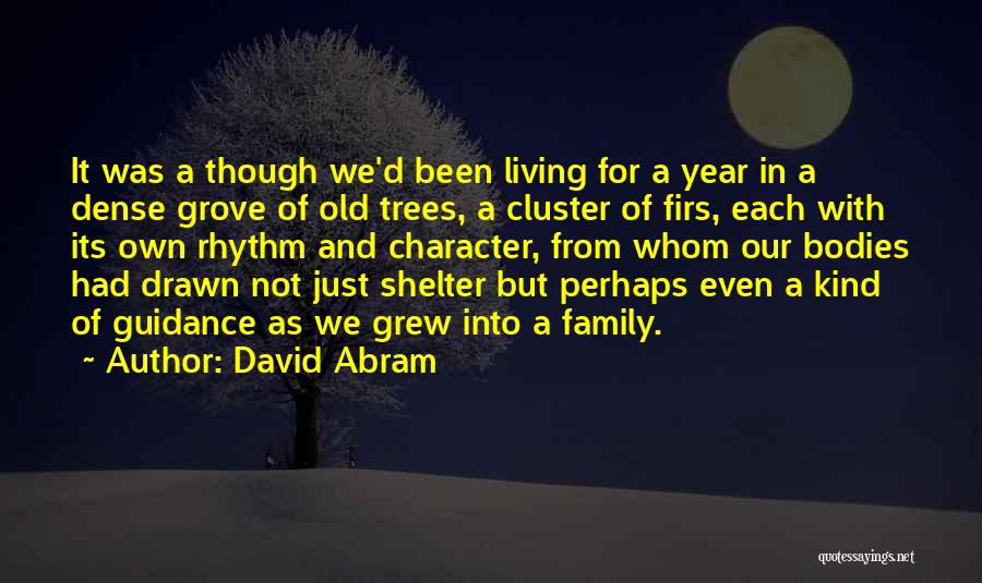 David Abram Quotes 795884