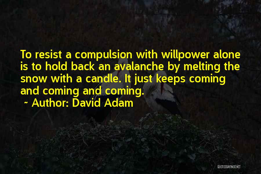 David Adam Quotes 1649771