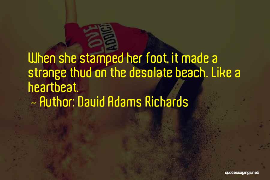 David Adams Richards Quotes 512079