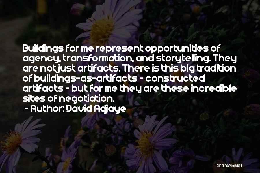 David Adjaye Quotes 1247254