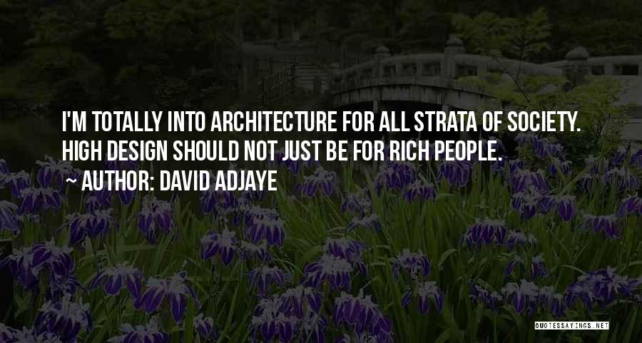 David Adjaye Quotes 1309192