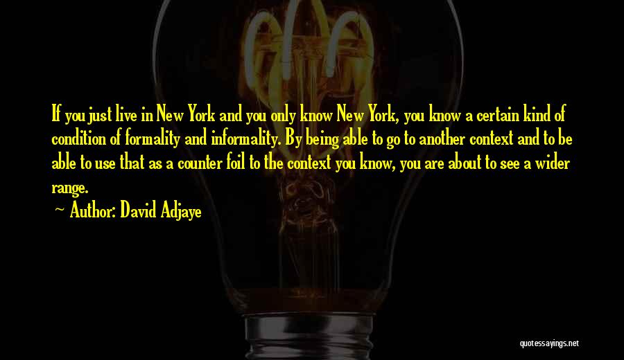 David Adjaye Quotes 1967395