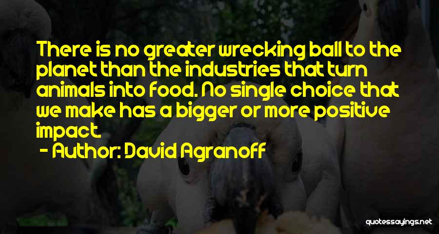 David Agranoff Quotes 1213740