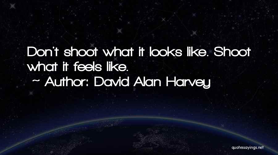 David Alan Harvey Quotes 203343